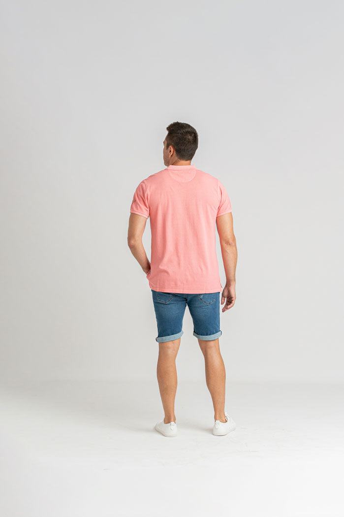 PRI2633 ROSA